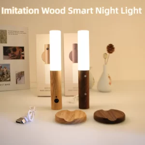 Motion sensor LED night light