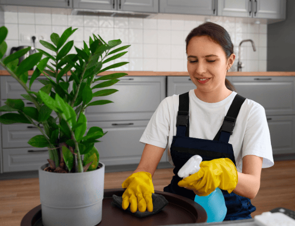 Home Cleaning Essentials